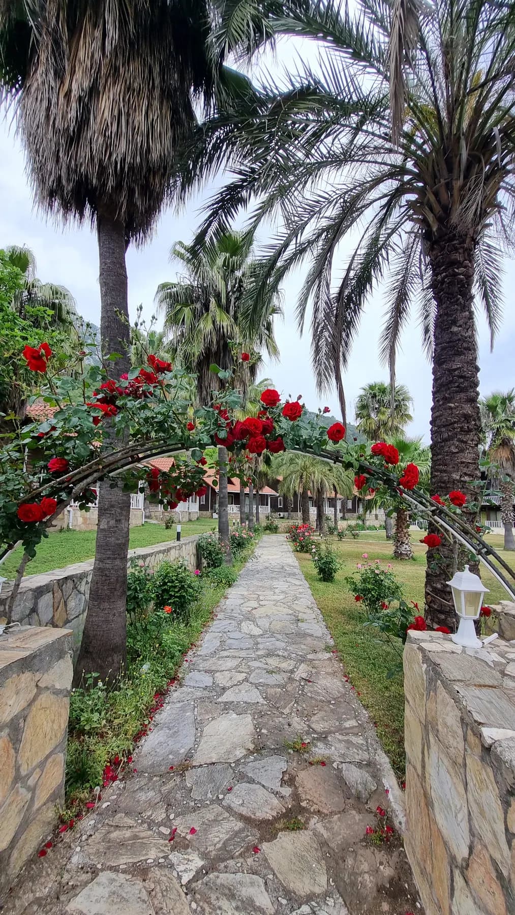 Club Sun Village gül bahçesi ve taş patika